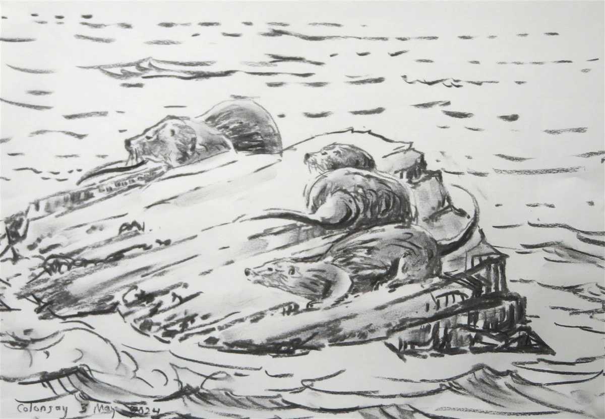 Otters