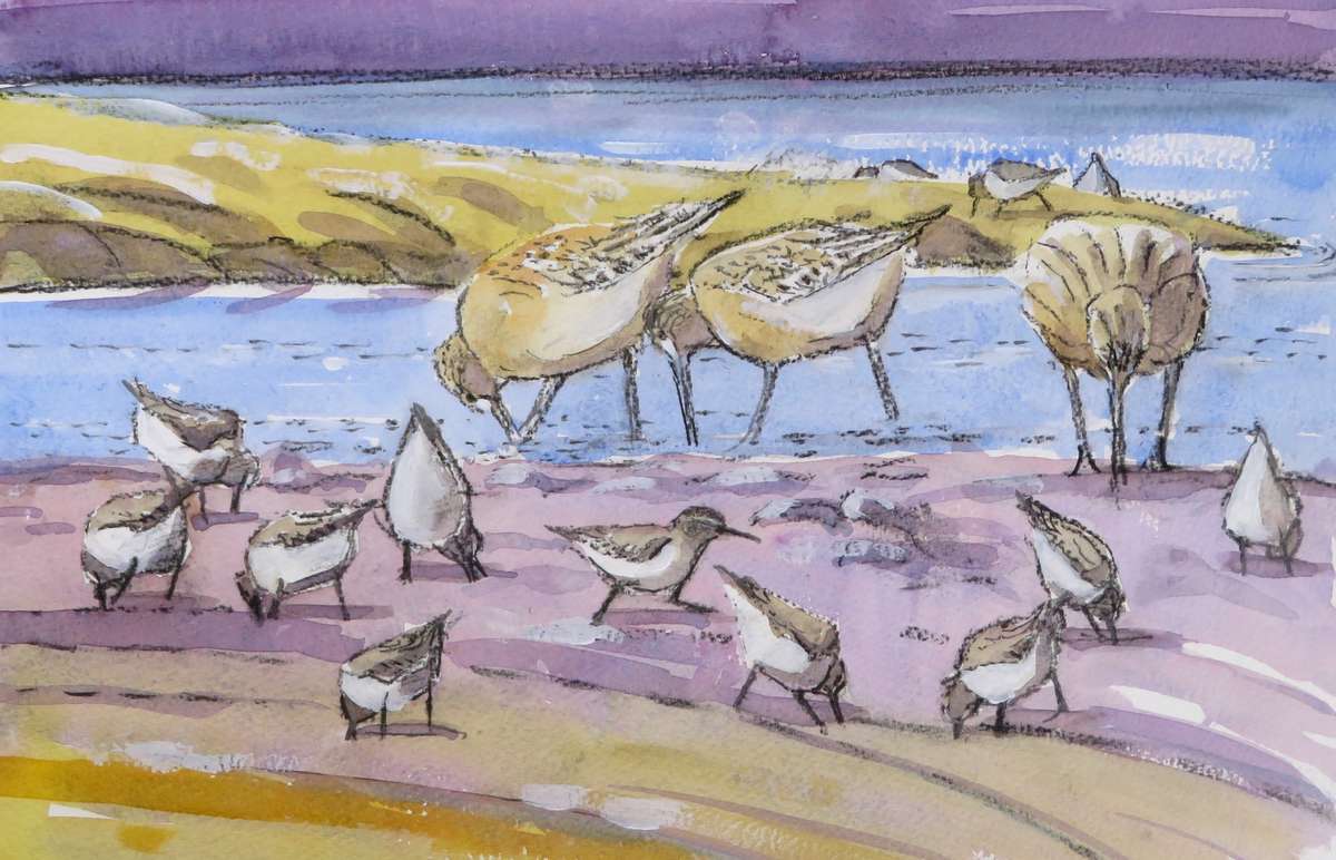 Dunlin and bar-tailed godwit