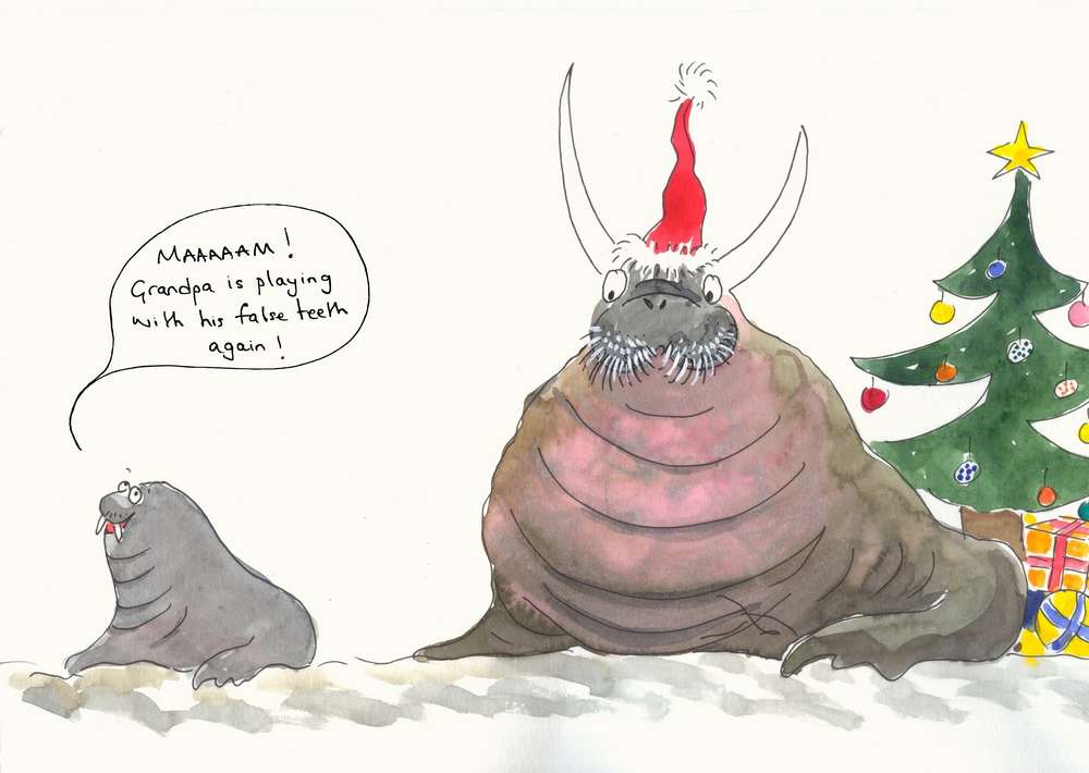 Grandad walrus