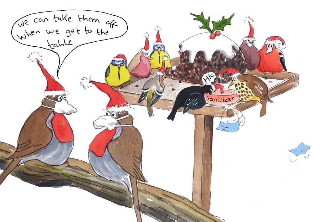 Robins wearing masks