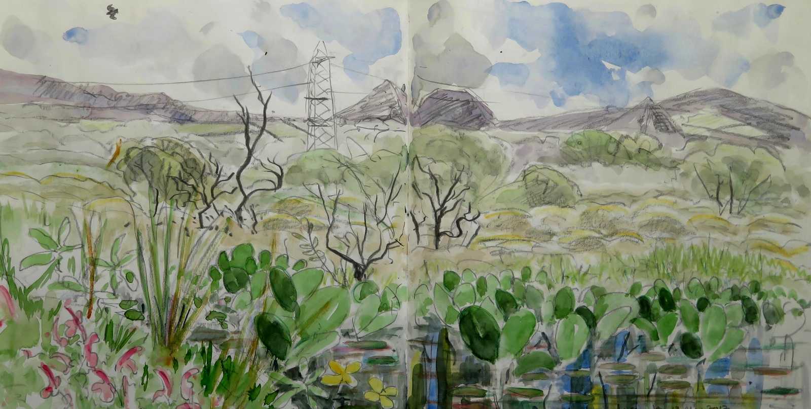 Goss Moor