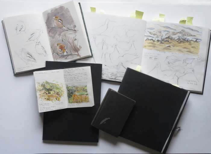 sketchbooks