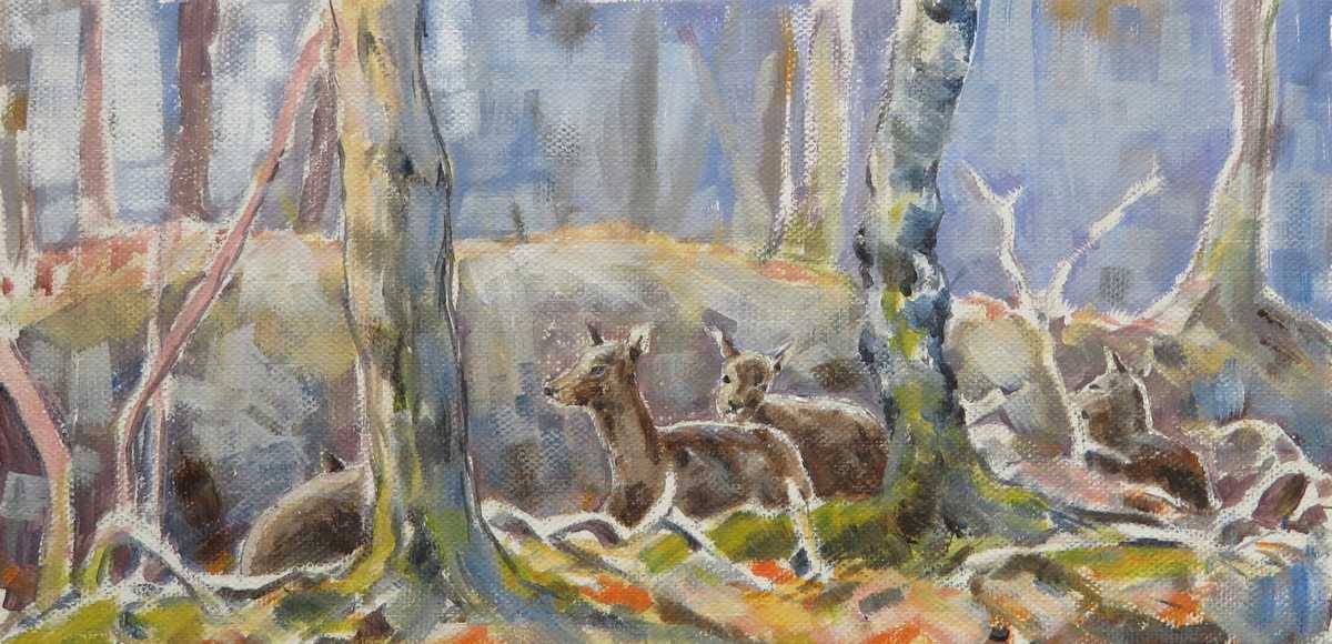 fallow deer in the new forest