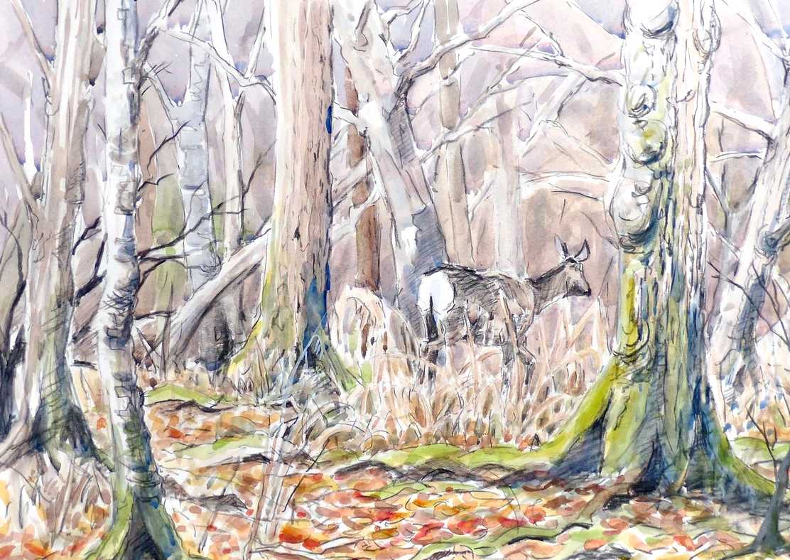 Roe Frame Wood