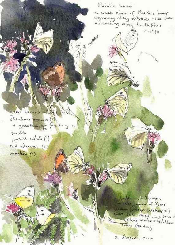 Green veined whites