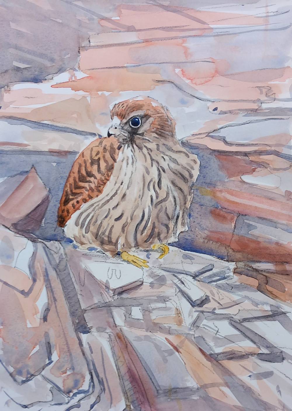 chick ready to fledge